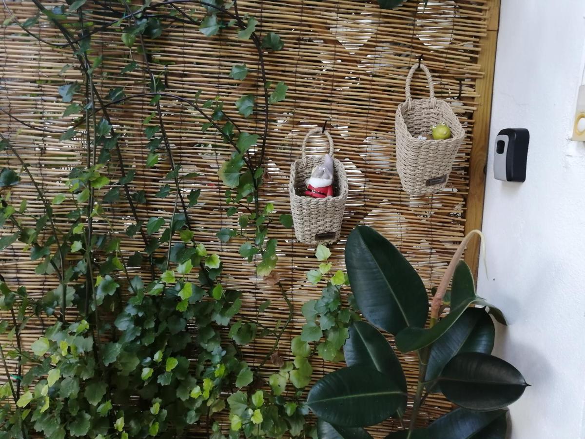 Olga'S Cozy Nest , Apartment In Ano Korakiana. Exterior foto