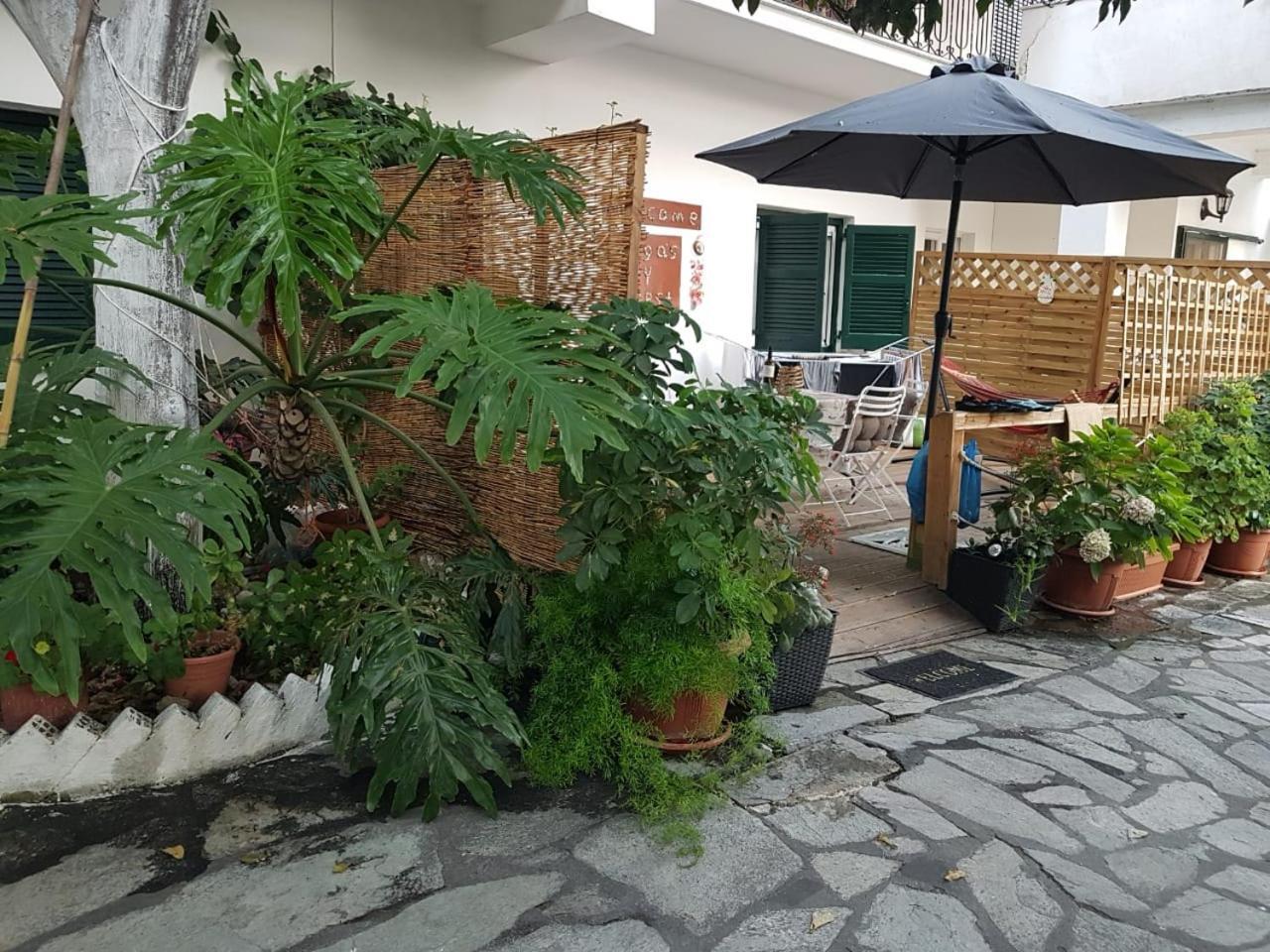 Olga'S Cozy Nest , Apartment In Ano Korakiana. Exterior foto